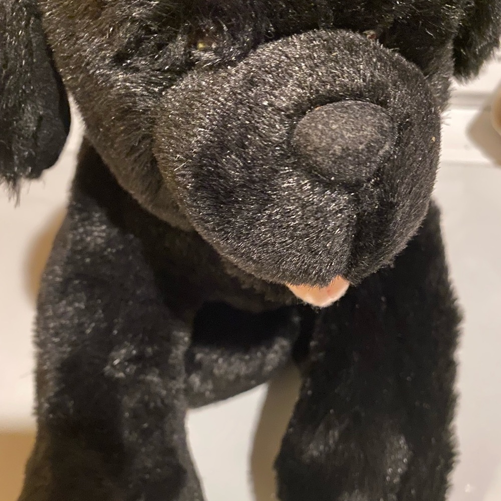 Black Labrador retriever build a bear great condition